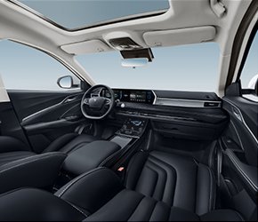 Neta U Interior